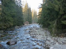 Chalet in High Tatras - 17